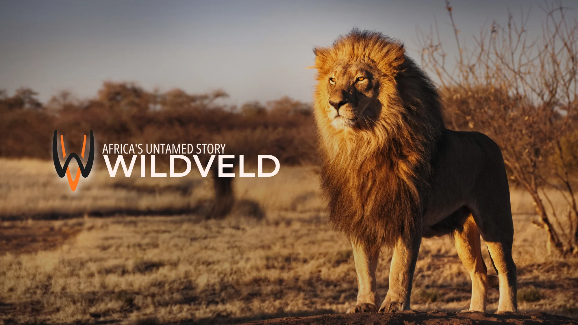 WildVeld